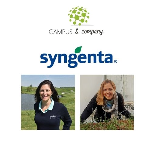 Webinar - Syngenta/Campus del Césped